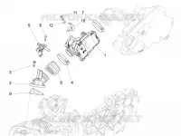 Corpo farfallato - Iniettore - Raccordo di ammissione