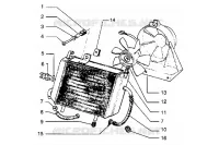 Radiatore