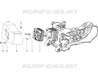 Coperchio testa