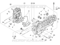 Carter