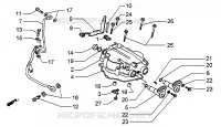 Coperchio testa