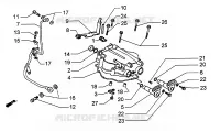 Coperchio testa