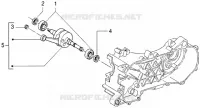 Albero motore
