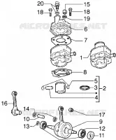 Gruppo cilindro-pistone-spinotto-Albero motore