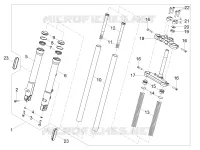 Forcella anteriore