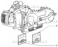 Motore