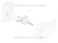 ALBERO MOTORE