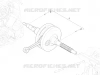 ALBERO MOTORE