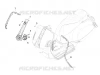Scudo anteriore