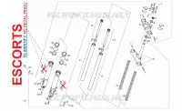 Forcella