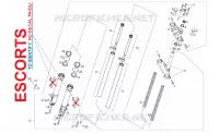 Forcella