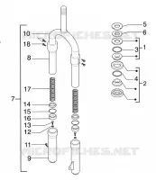 Forcella anteriore