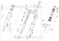 Forcella
