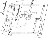 Forcella anteriore