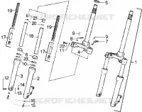 Forcella anteriore