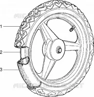 Ruota anteriore