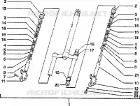 Forcella anteriore