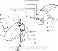 Forcella anteriore