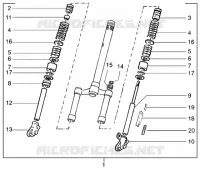 FORCELLA ANTERIORE