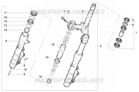 Forcella