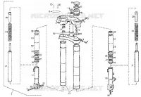 Forcella