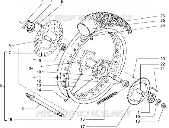 Ruota posteriore
