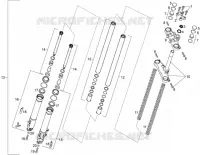 Forcella anteriore