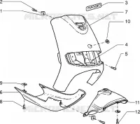 Scudi maschera