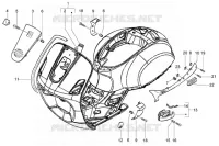 scocca