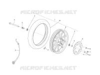 Ruota anteriore