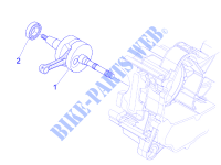 Albero motore per VESPA Primavera 4T-4V 2015